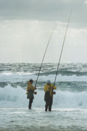 چوب و چرخ مورد نیاز ماهیگیری از ساحل دریا